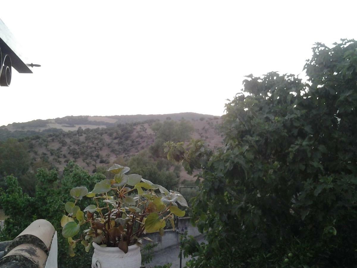 Casa Maria Luisa Villa El Bosque Eksteriør billede